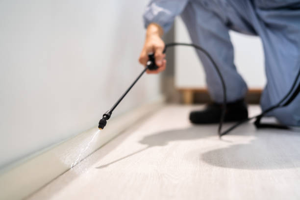 Licensed Fumigation Services service in Caledonia County County, VT - Nex Pest Control