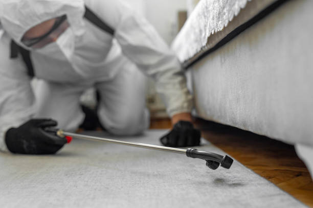 Professional Fumigation Services technician working in Caledonia County County, VT